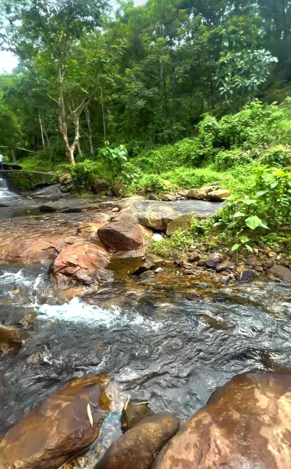 Nest Resorts Athirappilly Dış mekan fotoğraf
