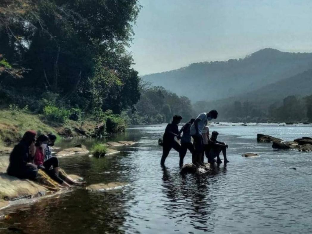 Nest Resorts Athirappilly Dış mekan fotoğraf