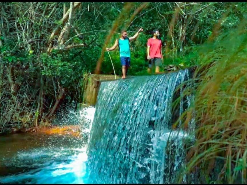 Nest Resorts Athirappilly Dış mekan fotoğraf