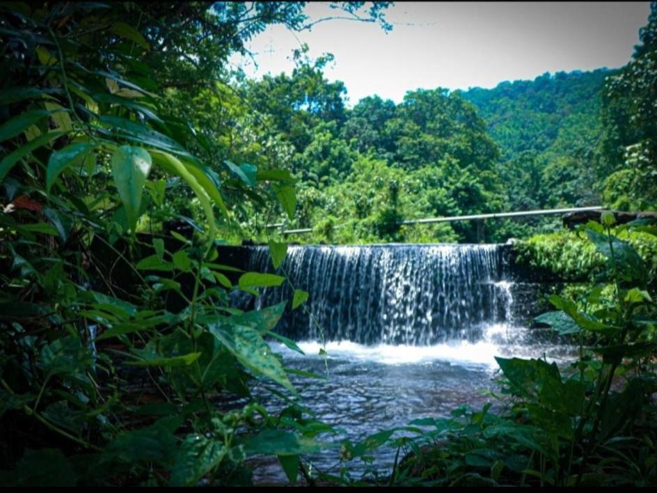 Nest Resorts Athirappilly Dış mekan fotoğraf